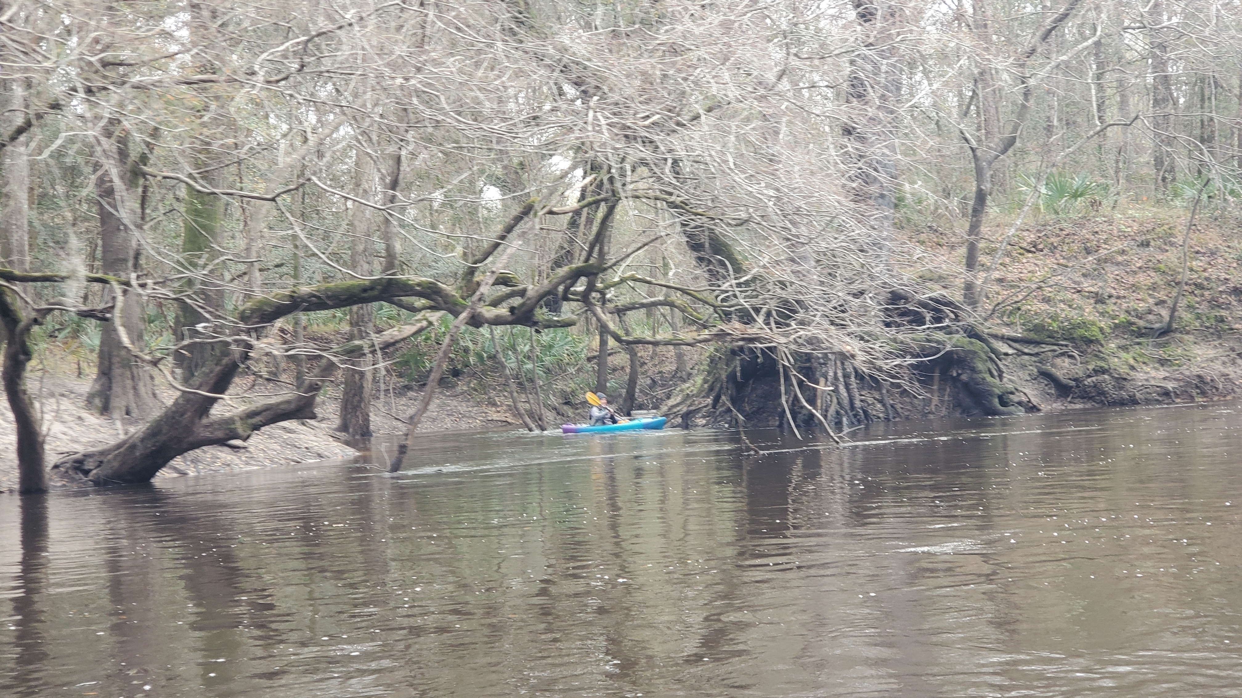 Helen Crowley turning around in the Little Alapaha, 11:07:46, 30.5013830, -83.0383300