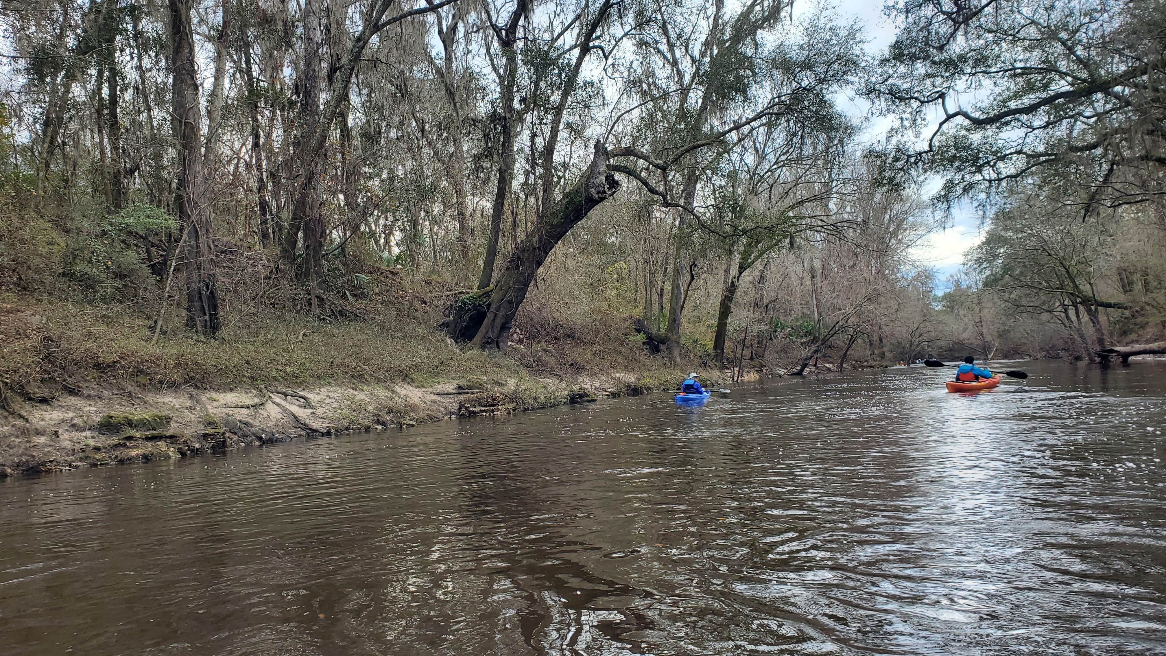 Idyllic Alapaha River, 13:34:49, 30.4486039, -83.0919965