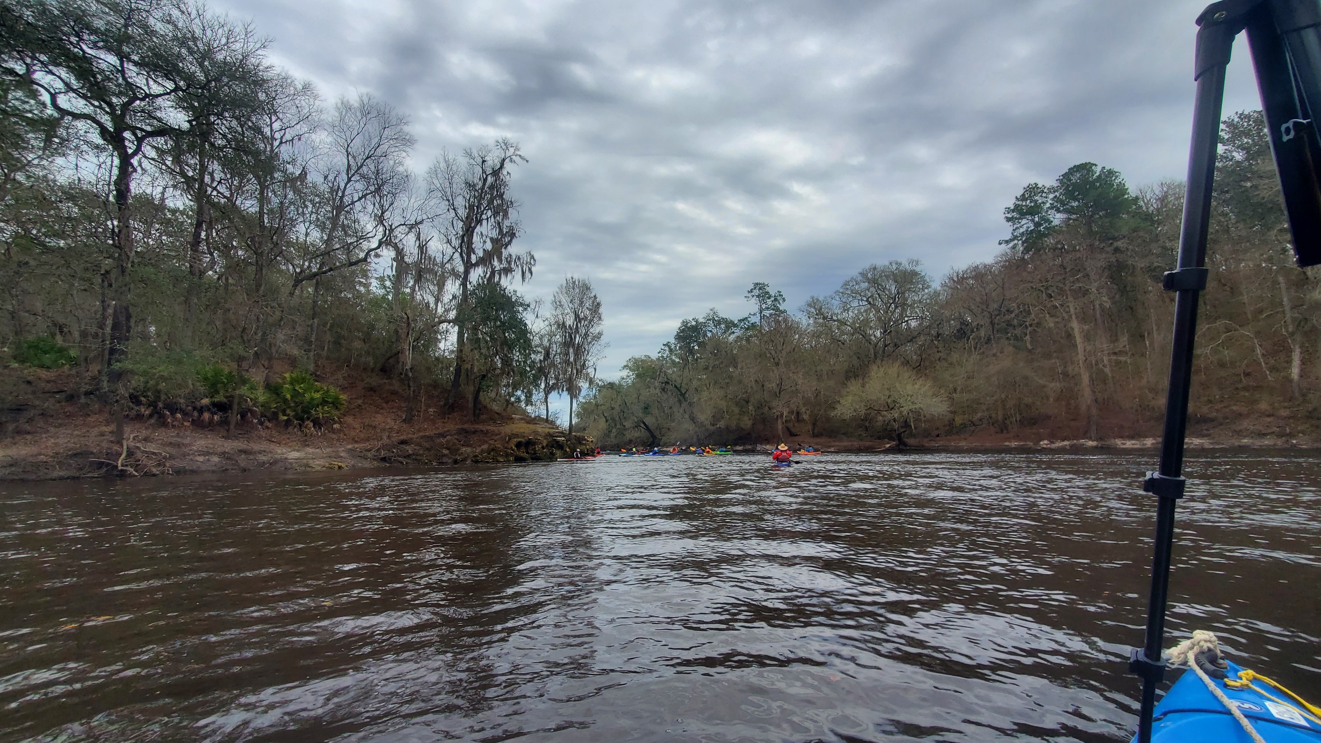 Alapaha River Confluence, left (north) bank, 13:58:42, 30.4368789, -83.0970814