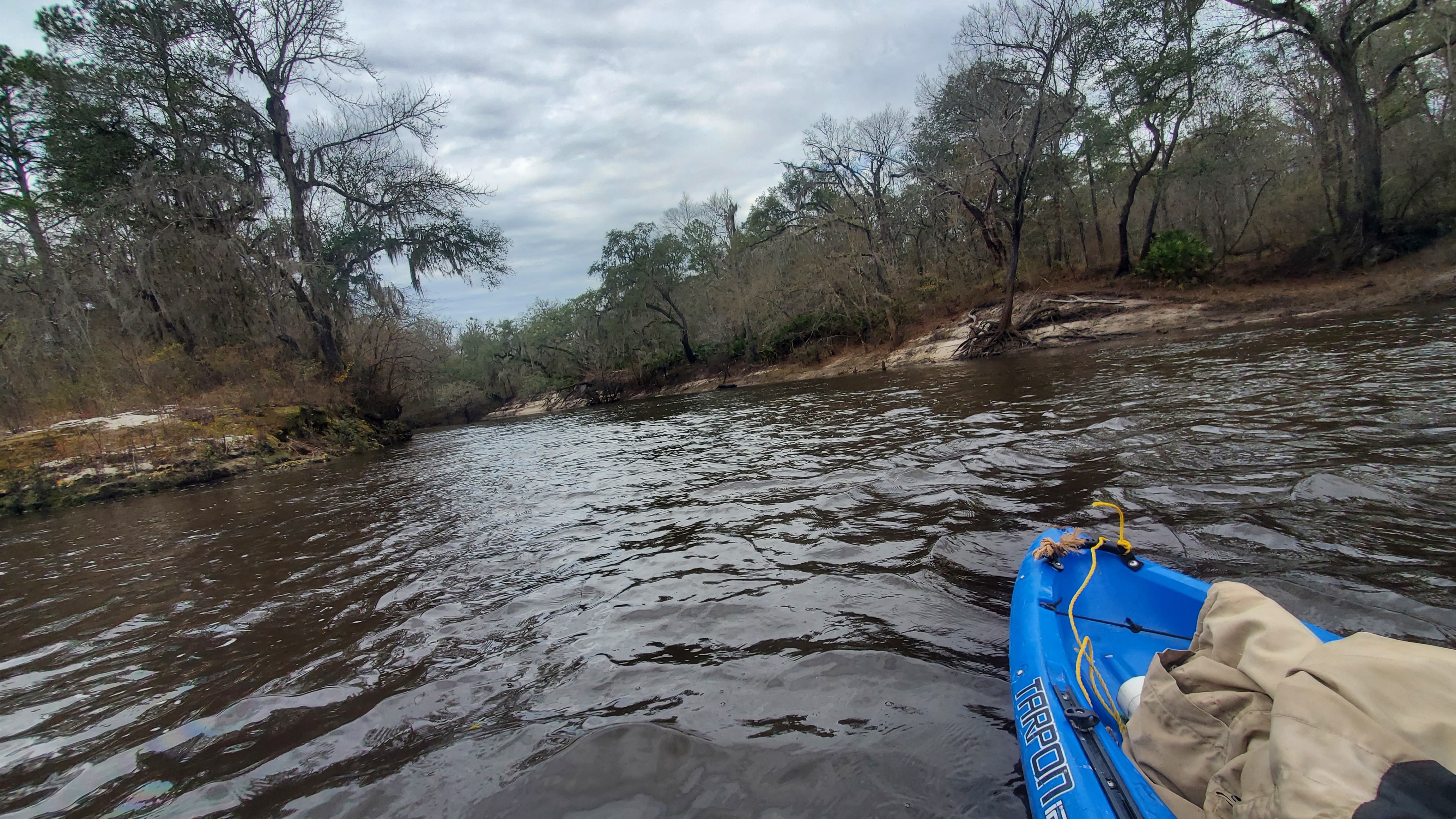 Nobles Ferry: Alapaha River Confluence seen from Suwannee River, 13:59:07, 30.4368789, -83.0970814