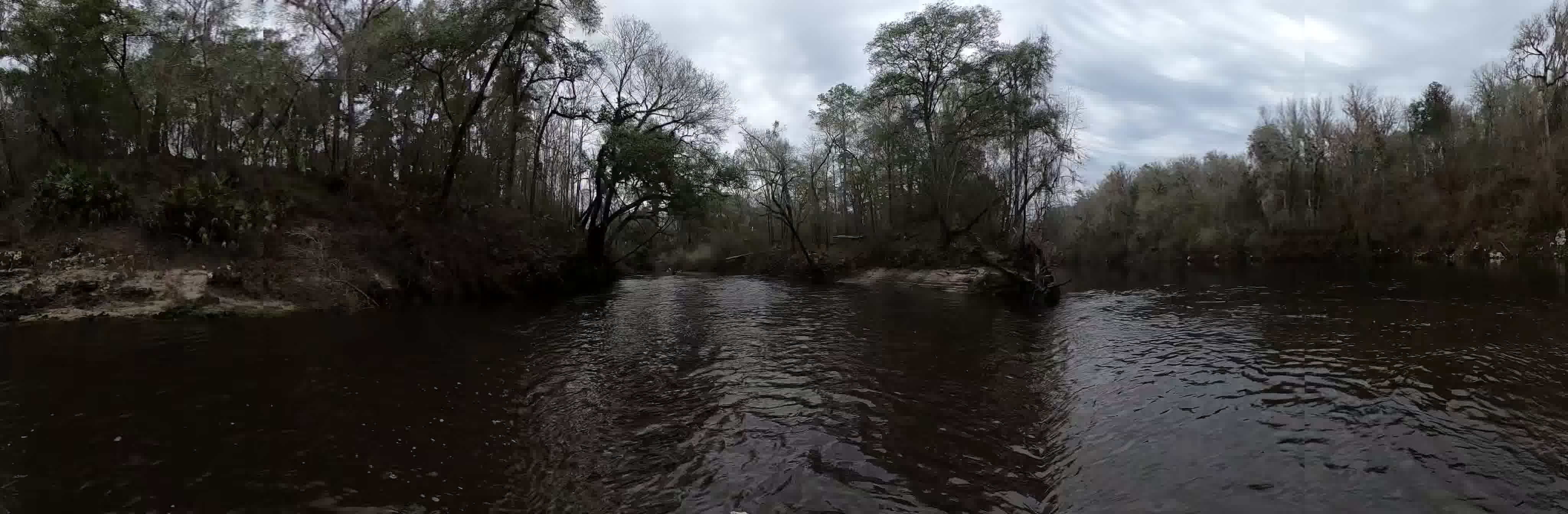 Alapaha River Rise Run