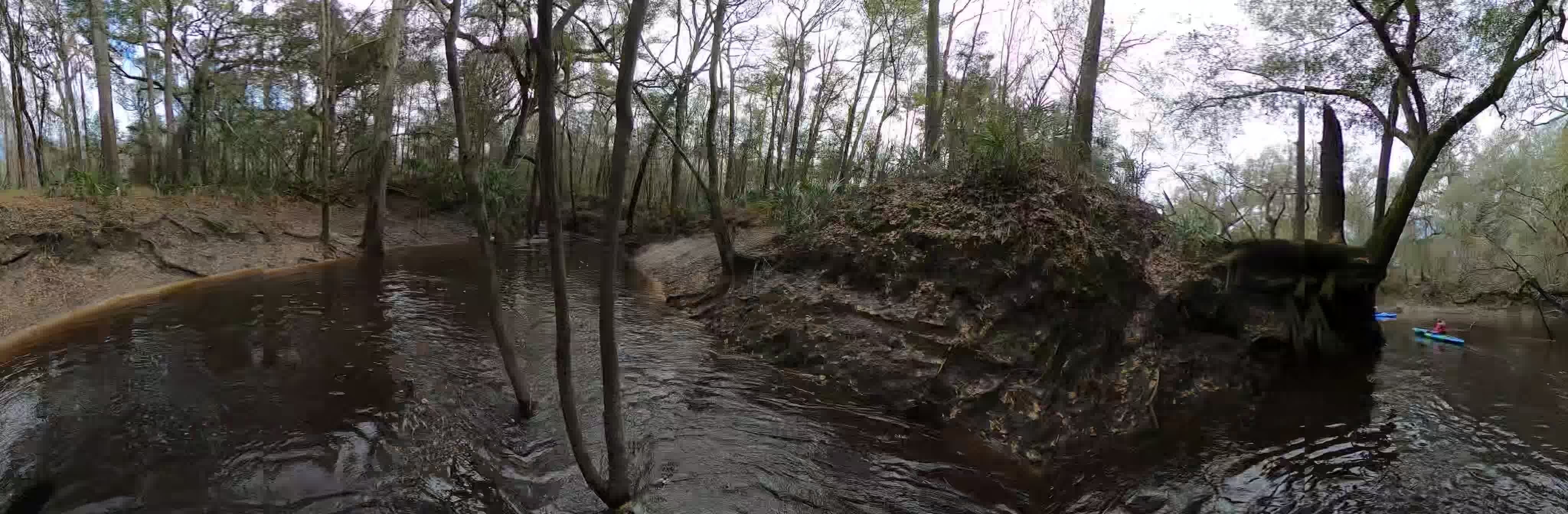 Inside the Little Alapaha River, 30.5013830, -83.038