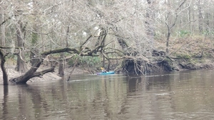 [Helen Crowley turning around in the Little Alapaha, 11:07:46, 30.5013830, -83.0383300]