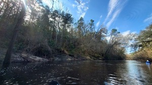 [Right (west) bank across from high bluff, 11:30:35, 30.4897573, -83.0495742]