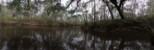 [Run to Alapaha River Rise]