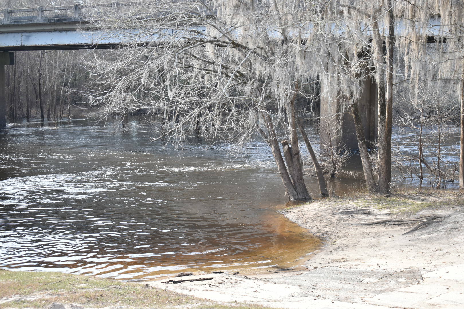 Nankin Boat Ramp, Withlacoochee River @ Clyattville-Nankin Road 2022-02-10