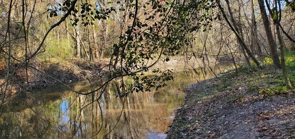 Upstream from Salty Snapper Landing, 15:44:50, 30.8620413, -83.3184933