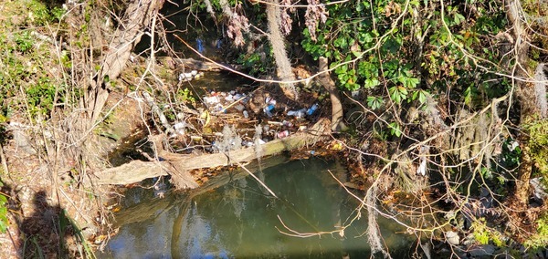 Upstream trash jam on VSU North Campus, 16:17:12, 30.8642437, -83.2889262