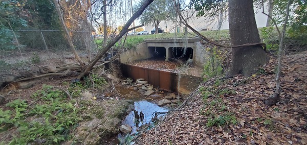 Downstream bridge, 17:24:56, 30.8759015, -83.2944199