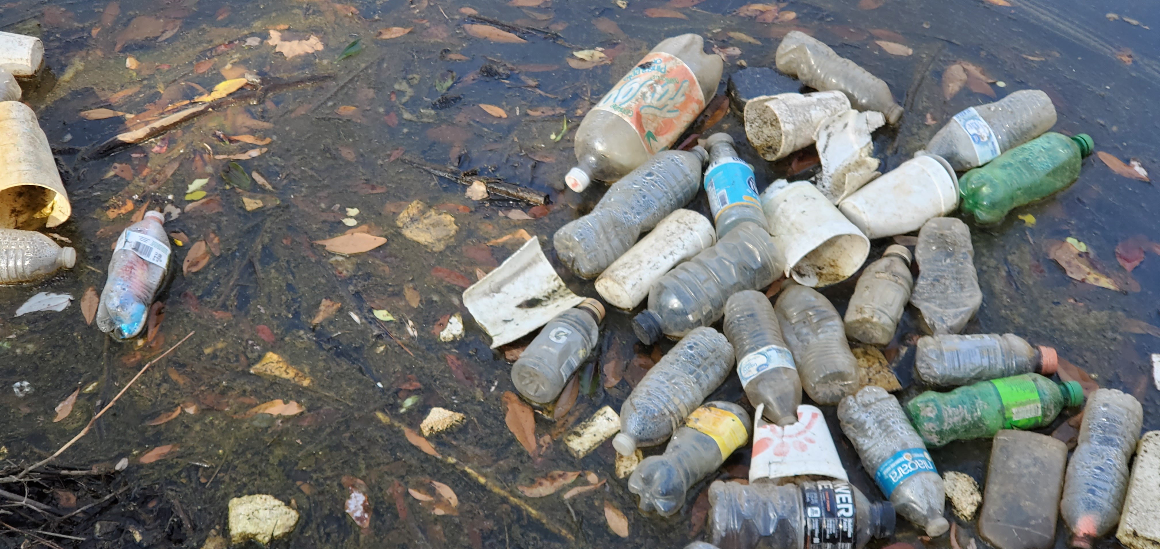 Plastic bottles and styrofoam, 15:49:19, 30.8626336, -83.3186224