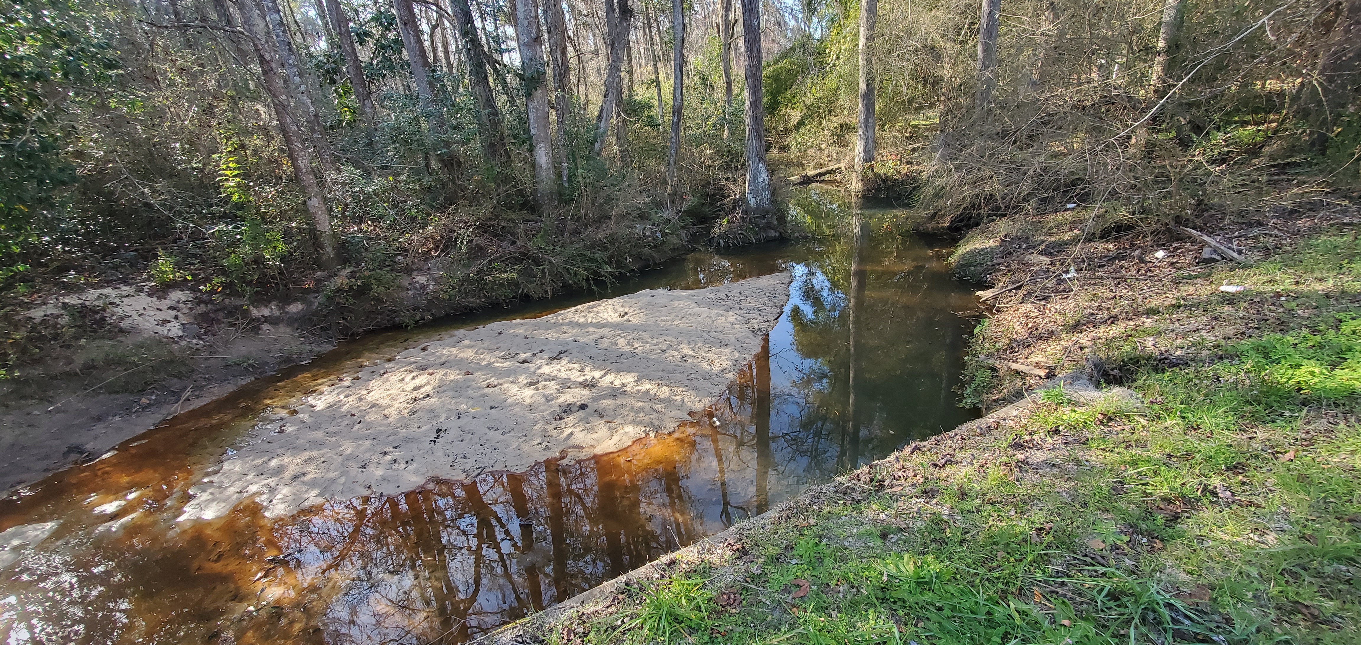 Downstream, 16:02:35, 30.8635022, -83.3019715