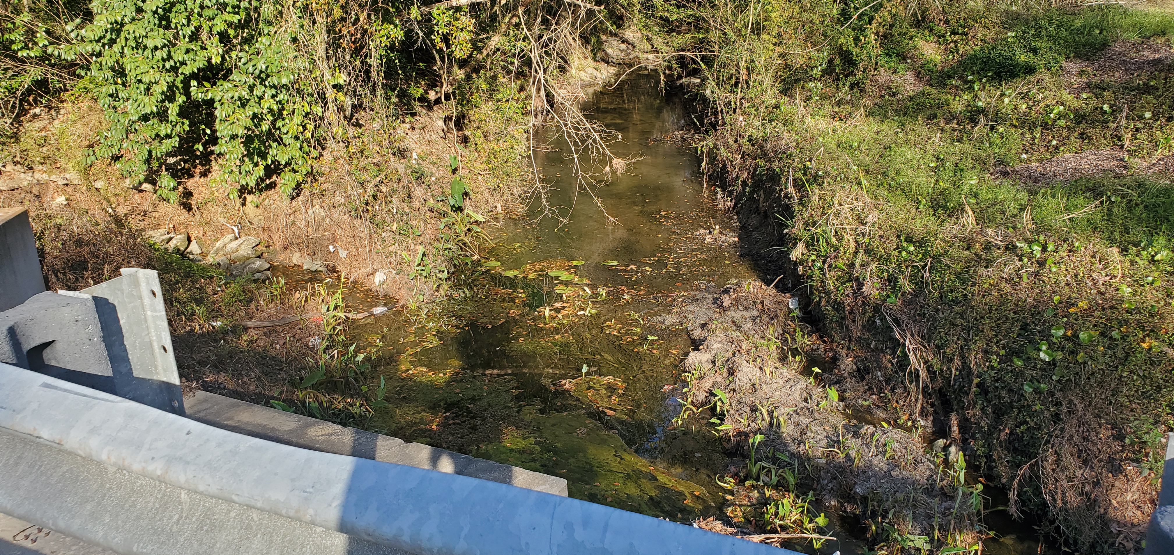 From bridge upstream into McKey Park, 16:10:49, 30.8634096, -83.2921360