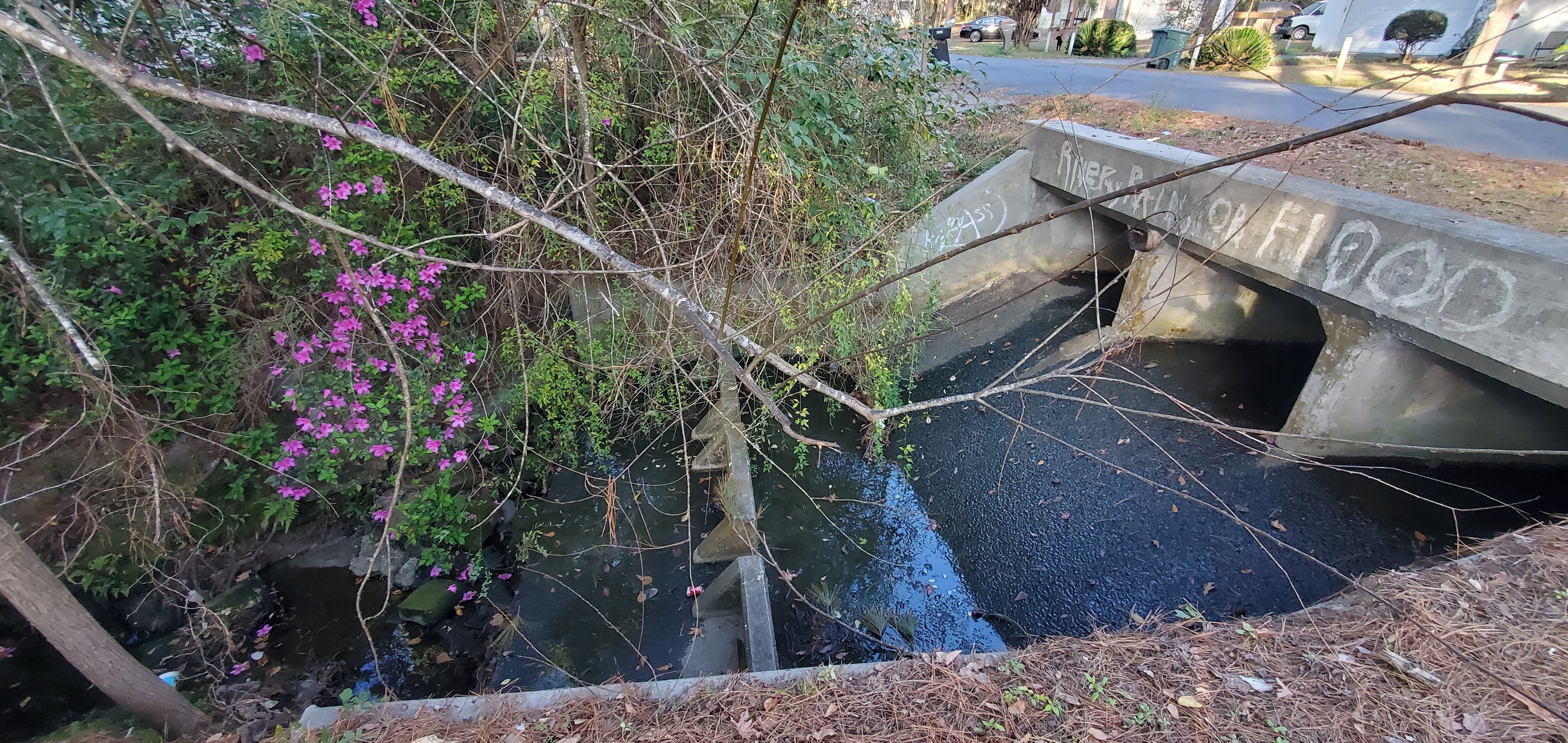 Downstream bridge, 16:41:07, 30.8698558, -83.2798690