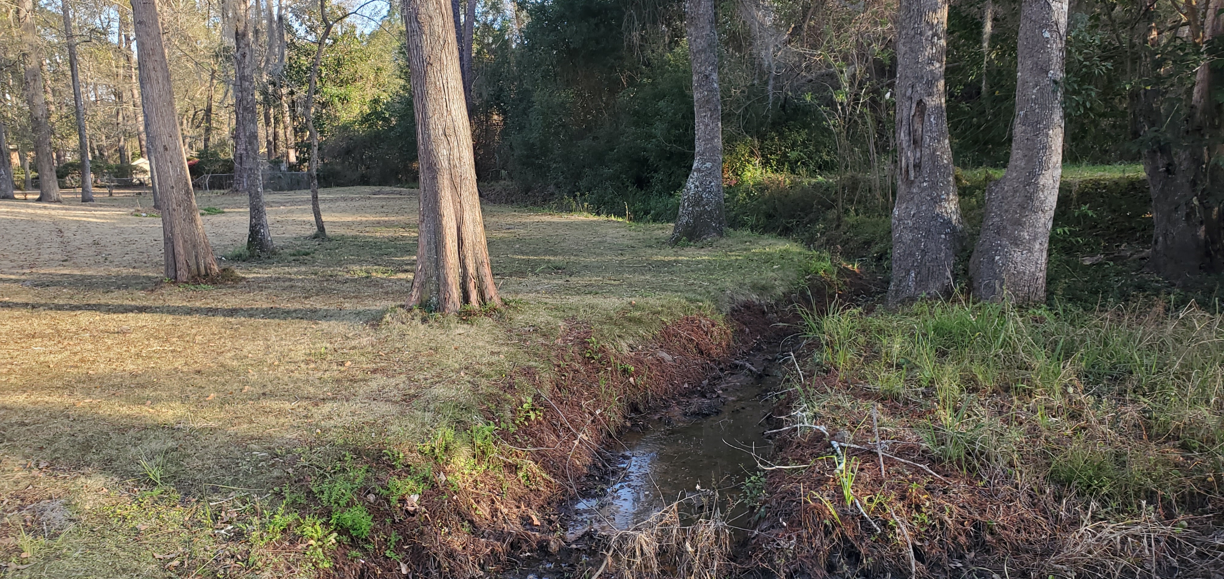 Two Mile Branch, Taylor-Cowart Park, 17:02:32, 30.8692230, -83.2784697