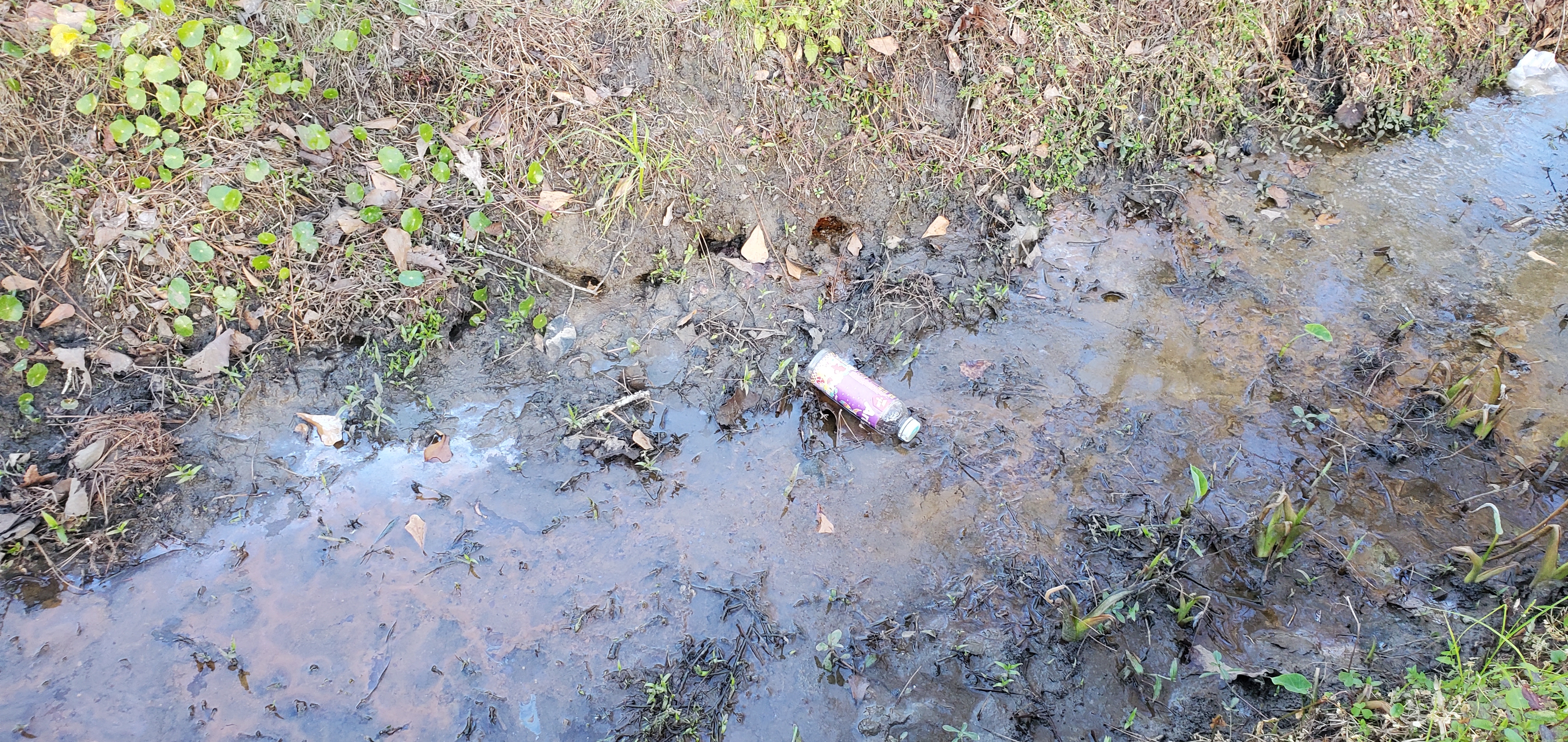 Trash in Two Mile Branch, Taylor-Cowart Park, 17:02:35, 30.8692230, -83.2784700