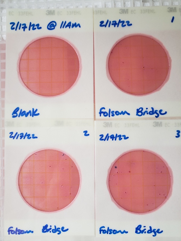 Plates, Folsom Bridge Landing 2022-02-17