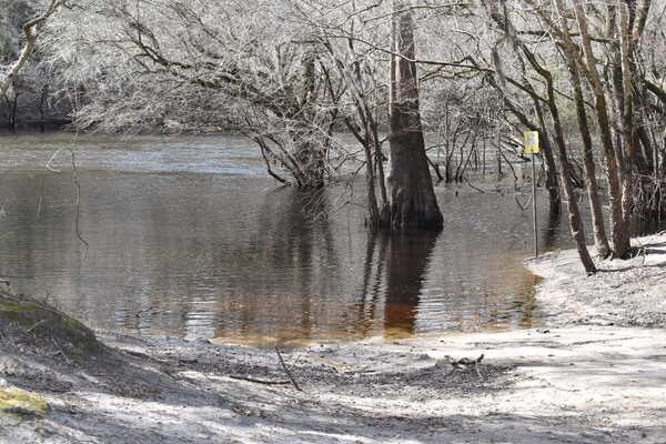 [Knights Ferry Boat Ramp, Withlacoochee River 2022-02-17]