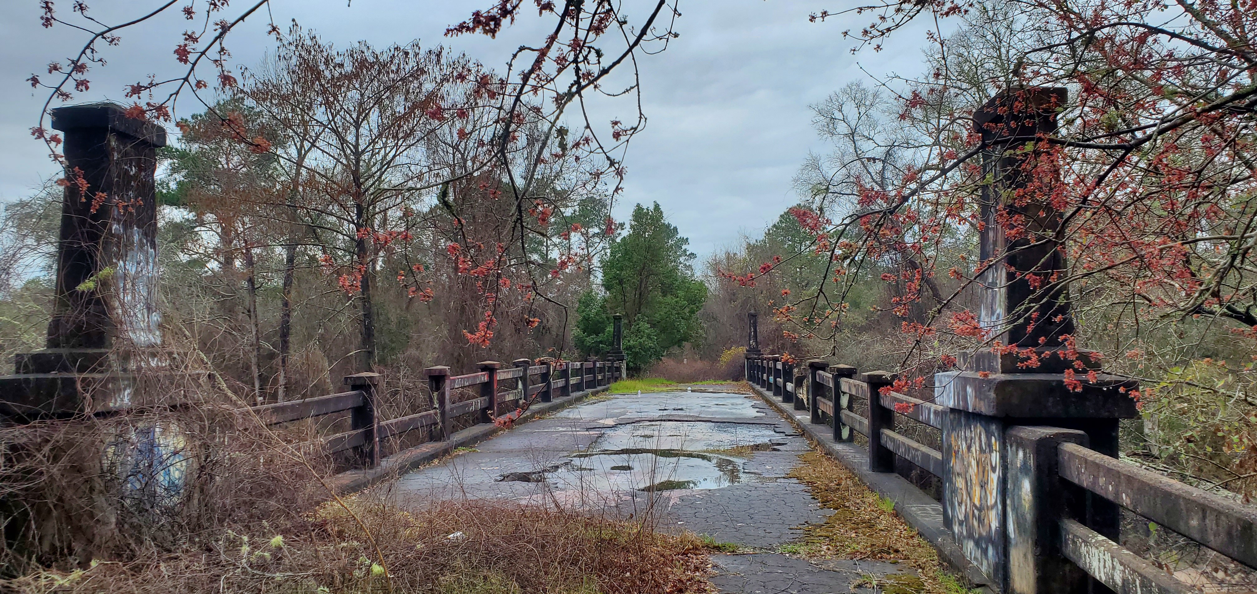 Springlike Spook Bridge, 08:55:48, 30.7898752, -83.4512408