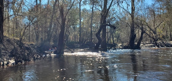 Coming out of the Withlacoochee River, 10:35:14, 30.8463631, -83.3475404