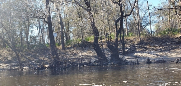 [Sabal Trail fracked methane pipeline, 15:26:41, 30.795422, -83.452507]