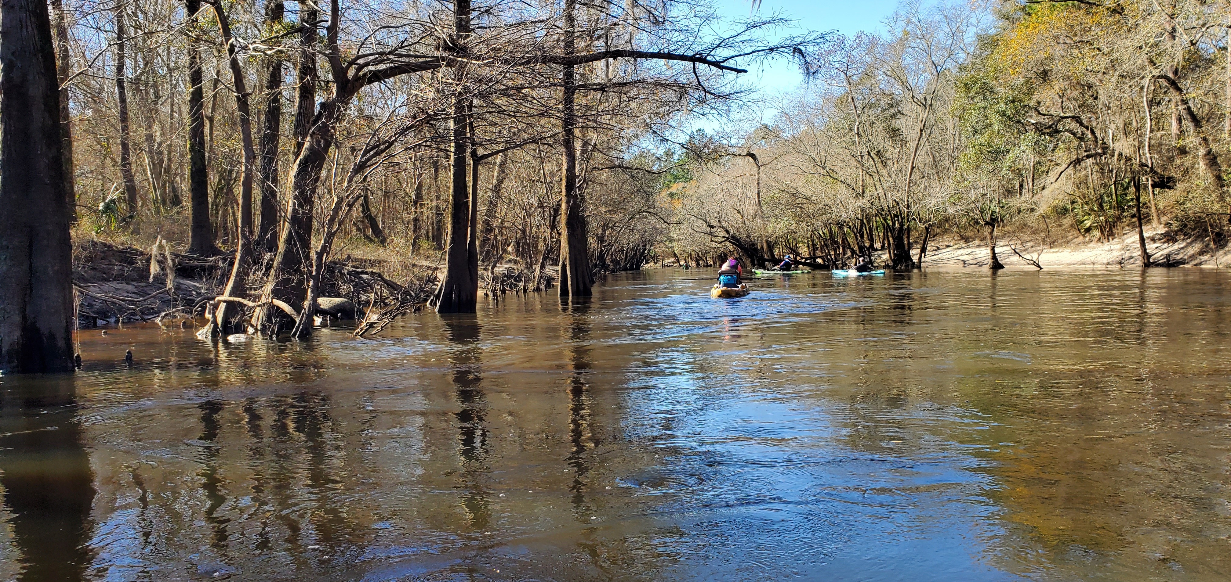 Down the Little River, 10:27:16, 30.8515690, -83.3476972