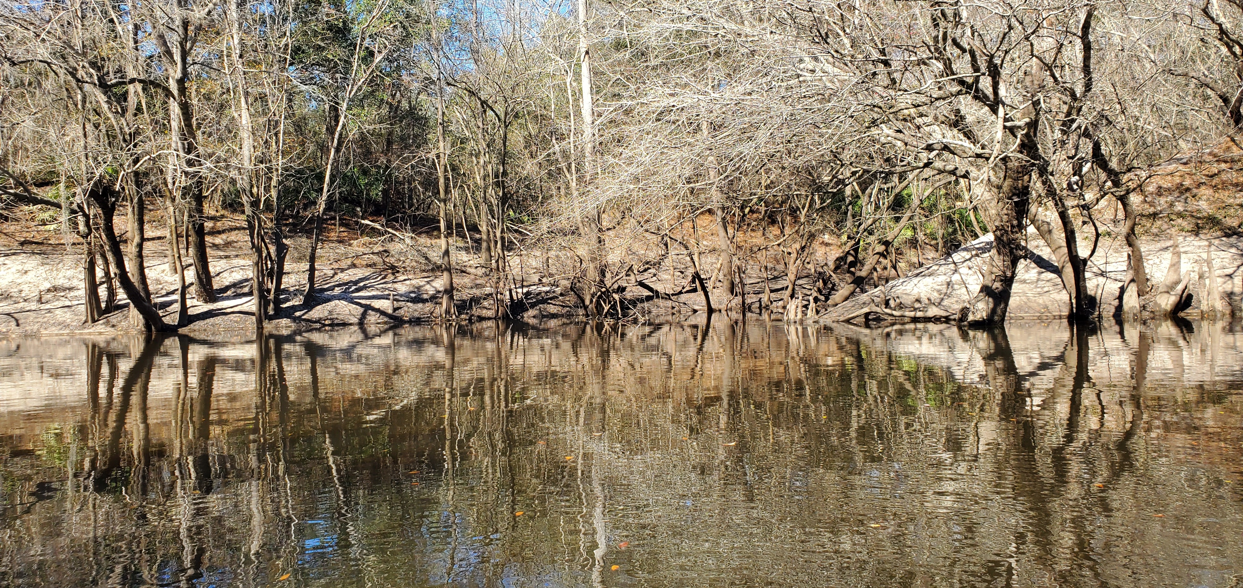 Millrace Creek entrance, 14:20:19, 30.8144560, -83.4375073