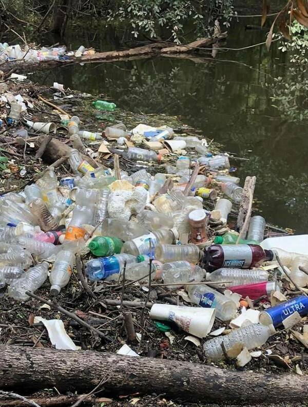 Trashjam, Withlacoochee River, downstream from Threemile Branch 2022-02-14 Photo: Bobby McKenzie