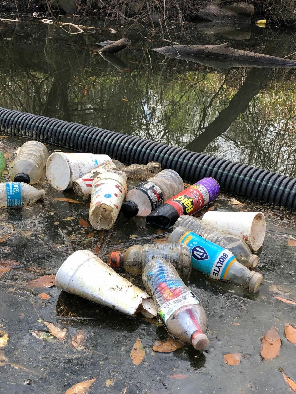 Closeup trash at boom Sugar Creek 2022-02-11 Photo: Russell McBride