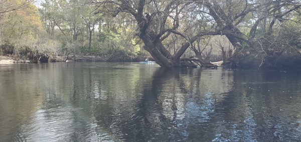 Right bend under large tree, 10:12:11, 30.6786970, -82.5627219