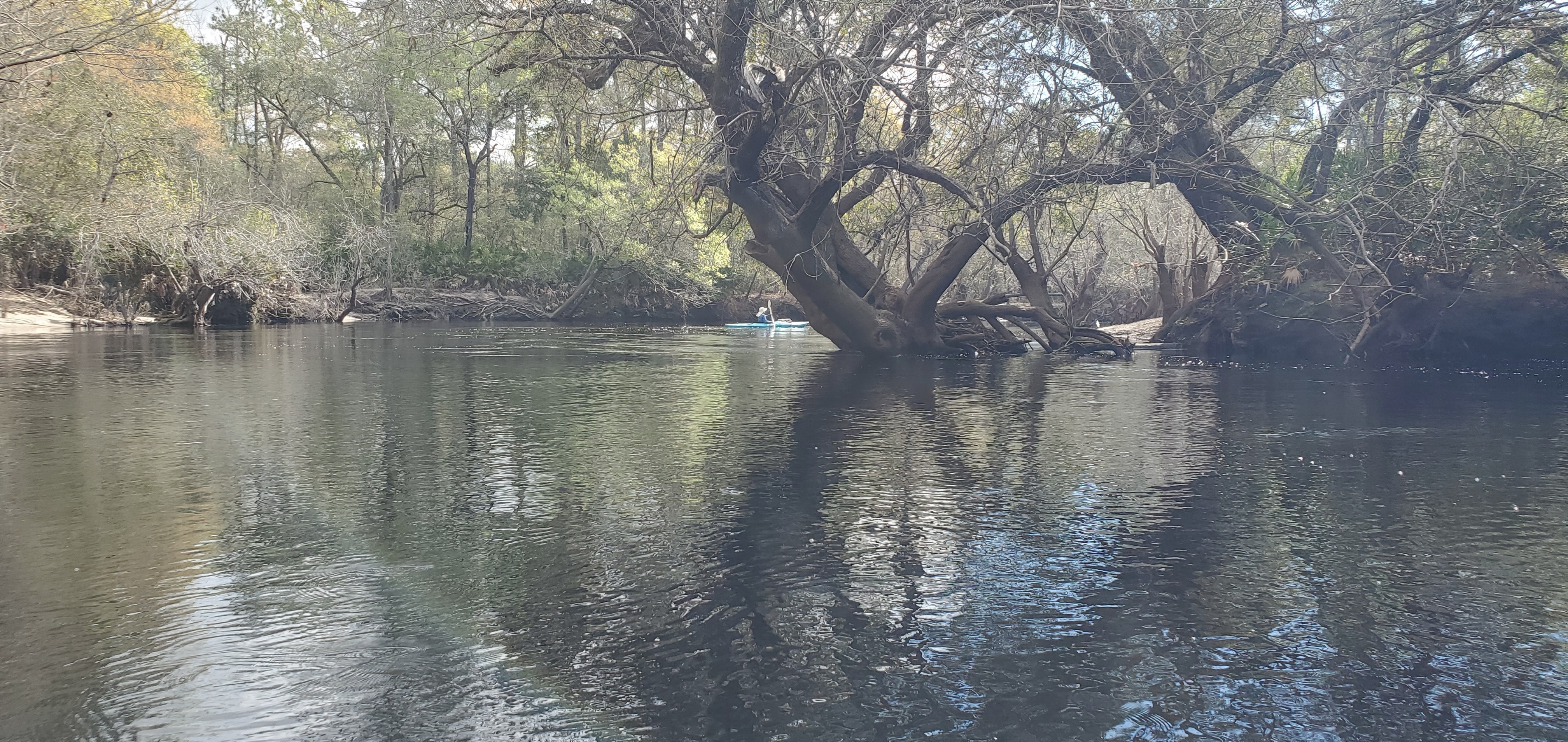 Right bend under large tree, 10:12:11, 30.6786970, -82.5627219