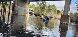 [WWALS E.D. Gretchen Quarterman under the US 441 Bridge, 10:04:19, 30.6806693, -82.5600351]