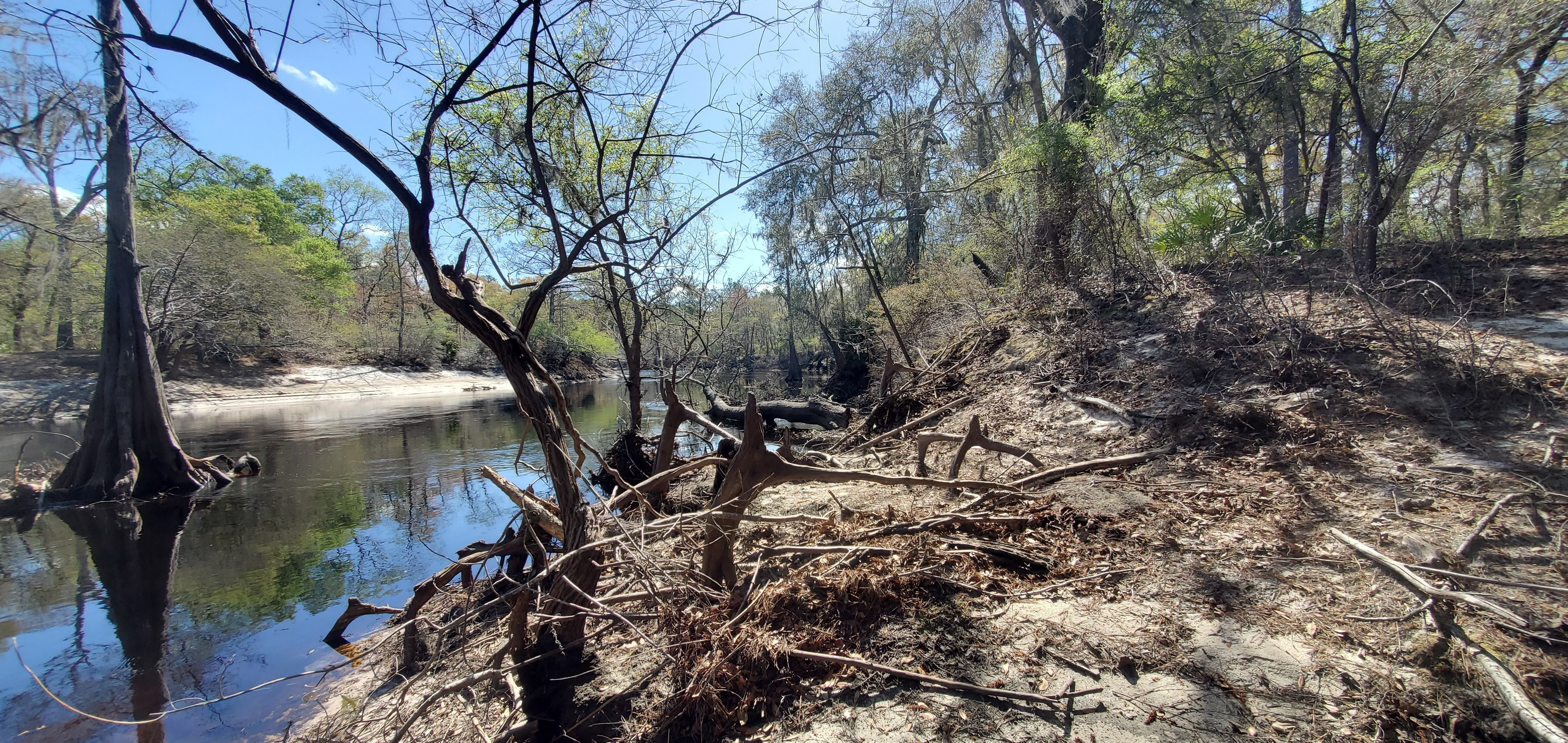 Both sides downstream from Roline, 11:12:22, 30.5638717, -82.7249267