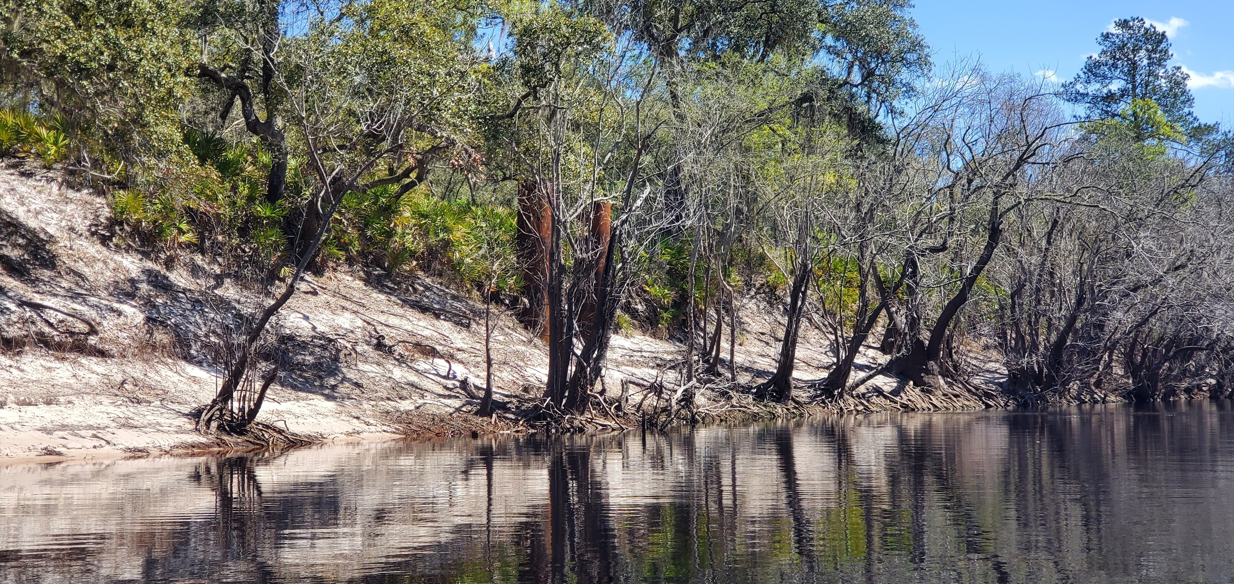 Lally columns, left (east) bank, 13:00:34, 30.5249565, -82.7282285