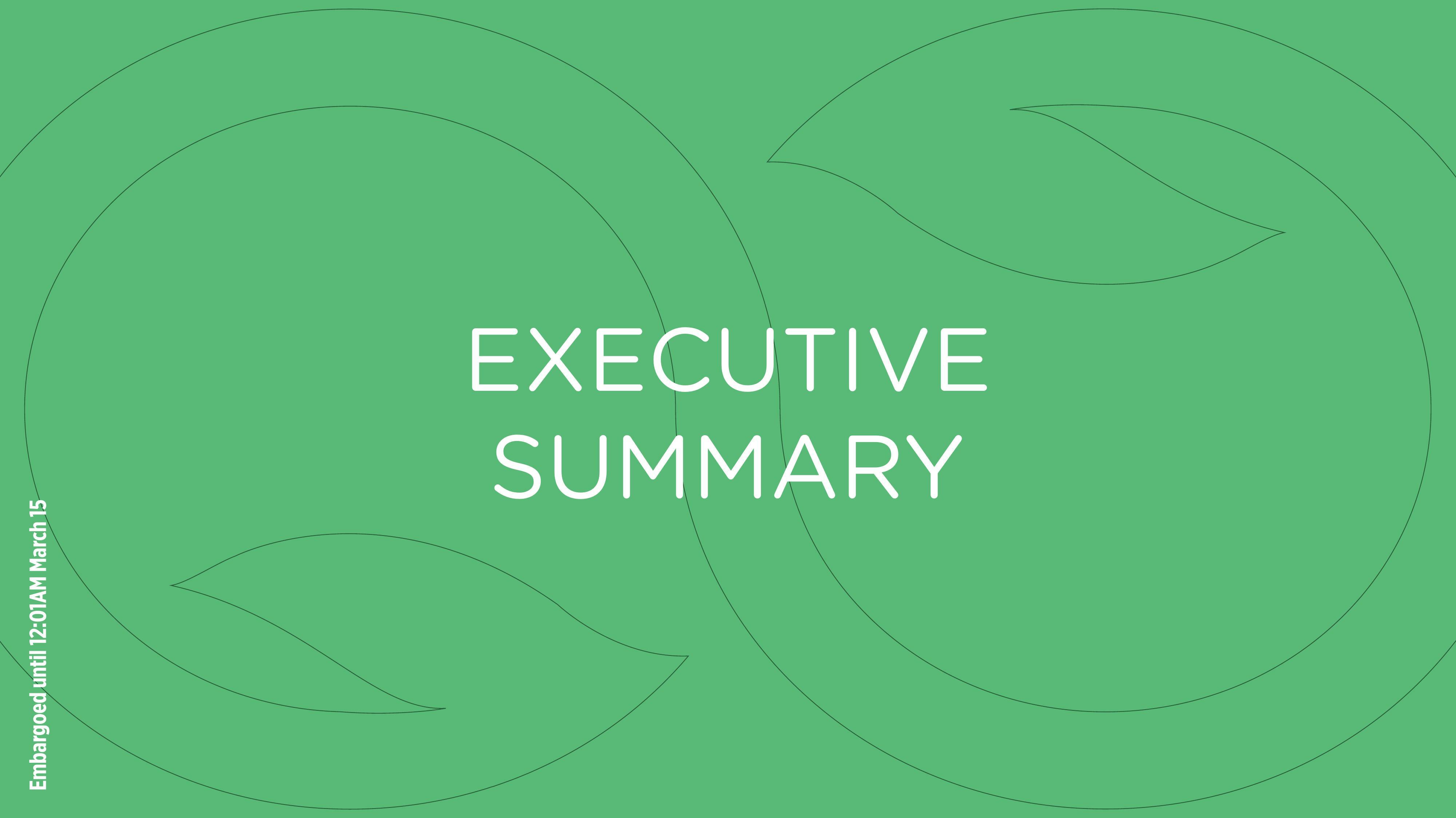 EXECUTIVE SUMMARY cover page