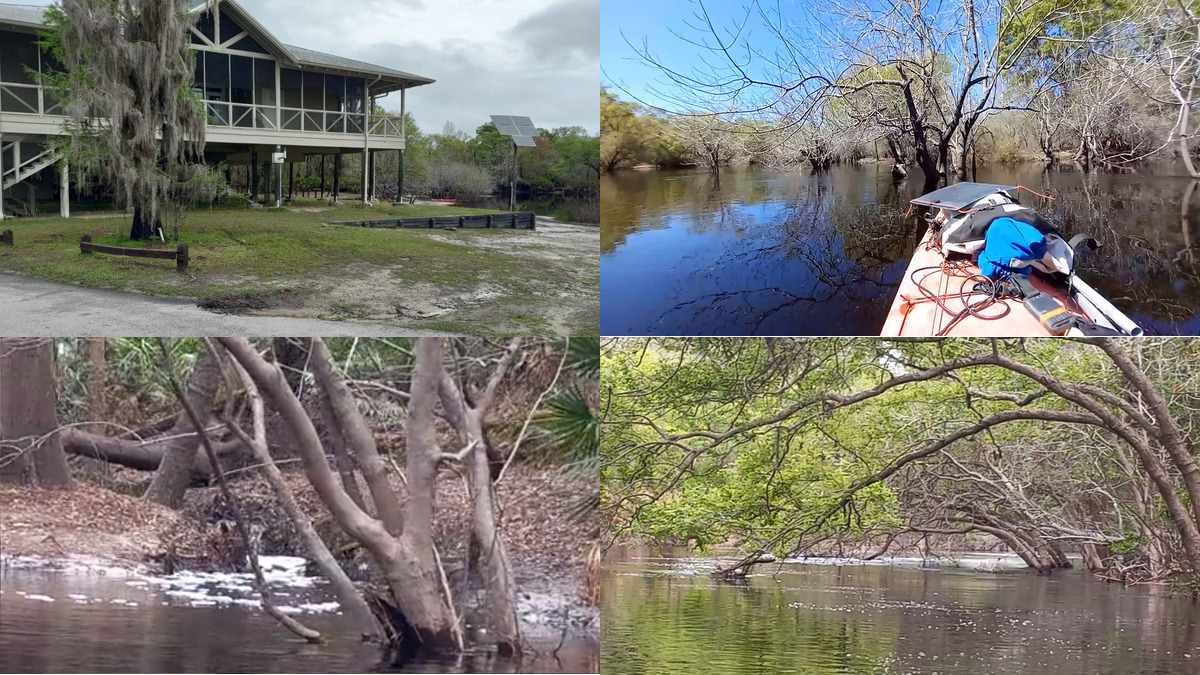 Paddling the Suwannee