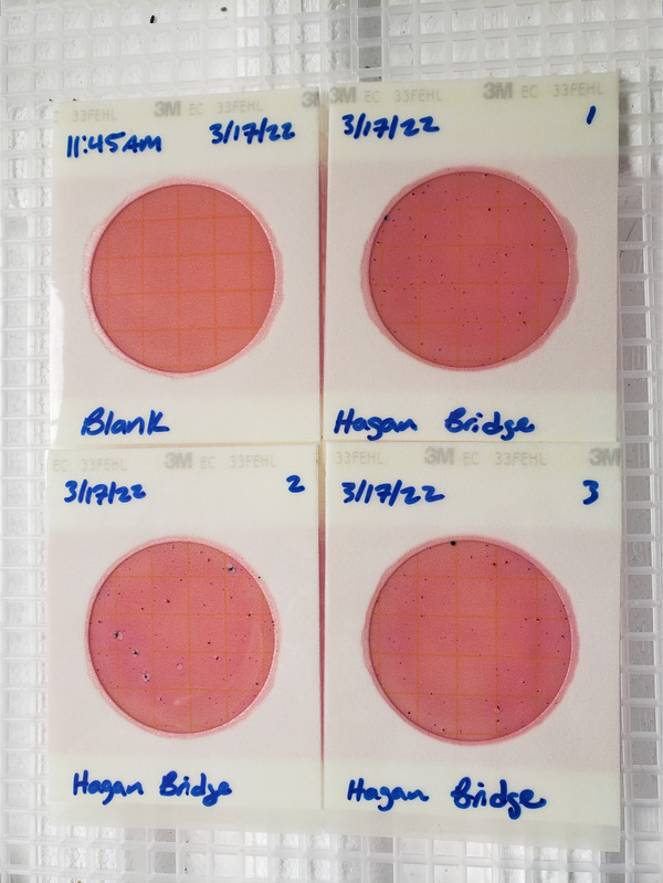 Plates, Hagan Bridge Landing 2022-03-17