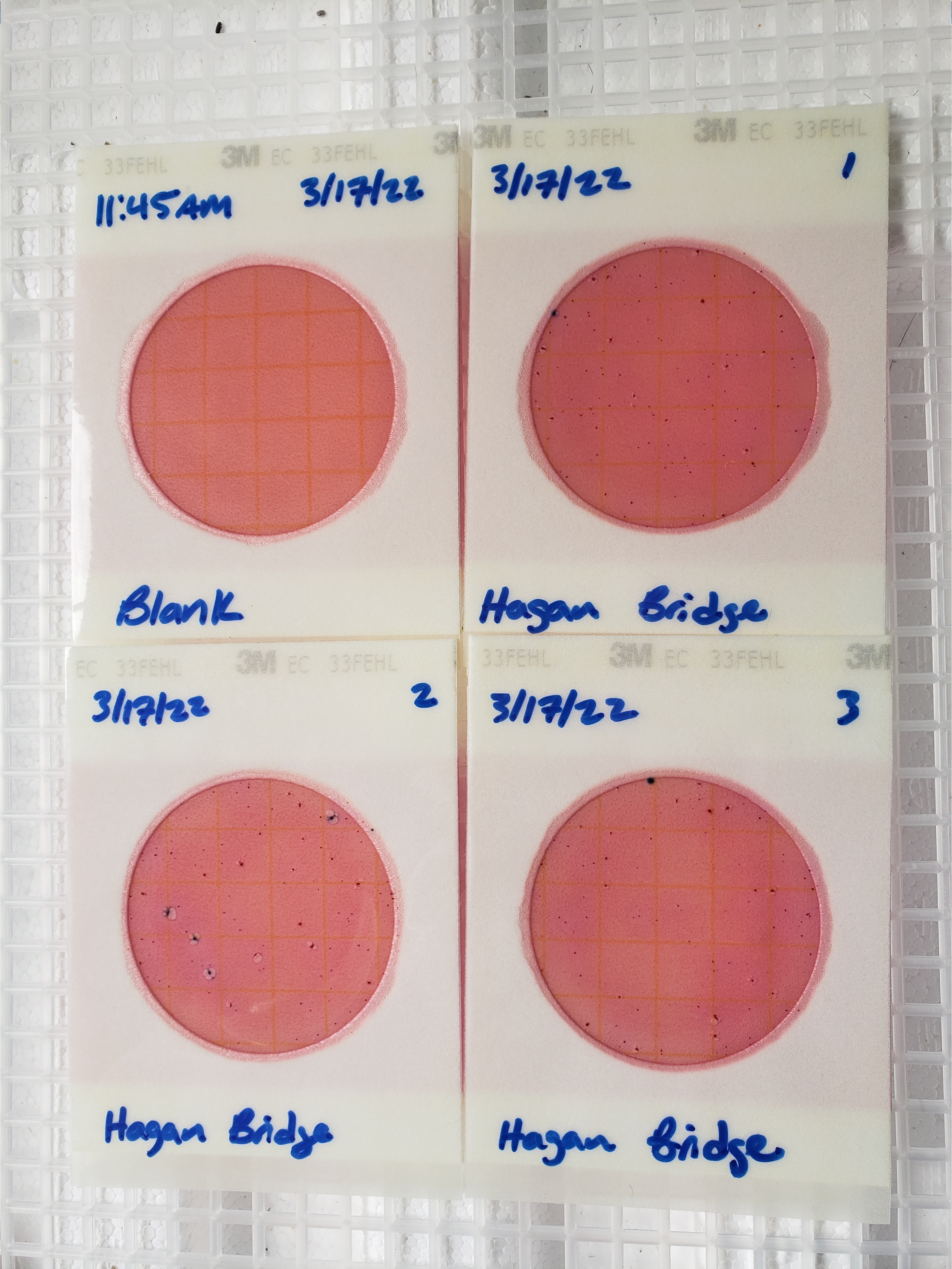 Plates, Hagan Bridge Landing 2022-03-17