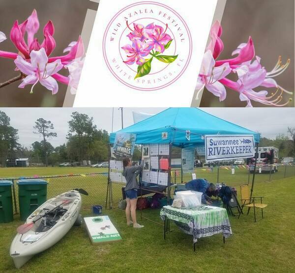 Wild Azalea Festival, WWALS Booth (2019)