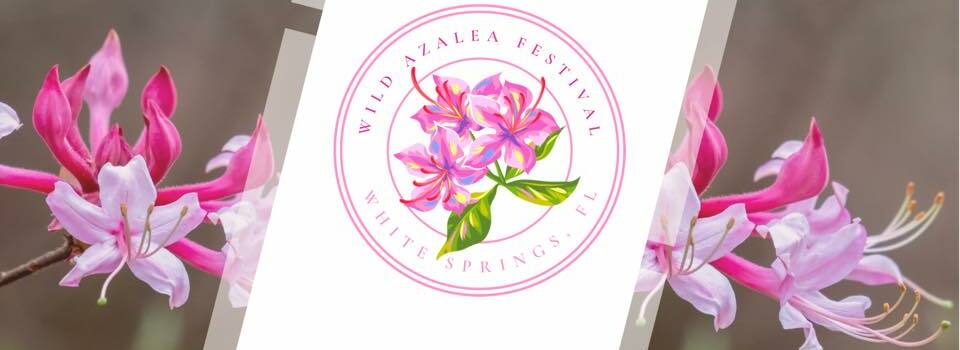 Wild Azalea Festival