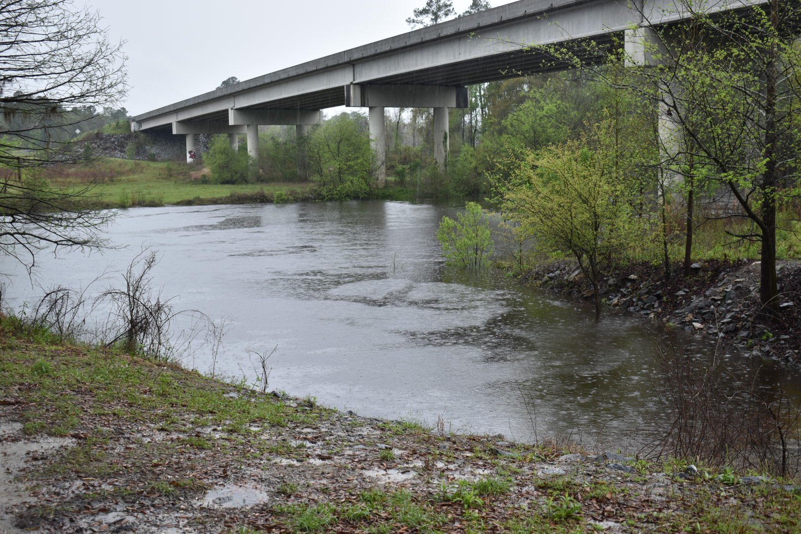 State Line Boat Ramp Water Level, Withlacoochee River @ GA 133 2022-03-24