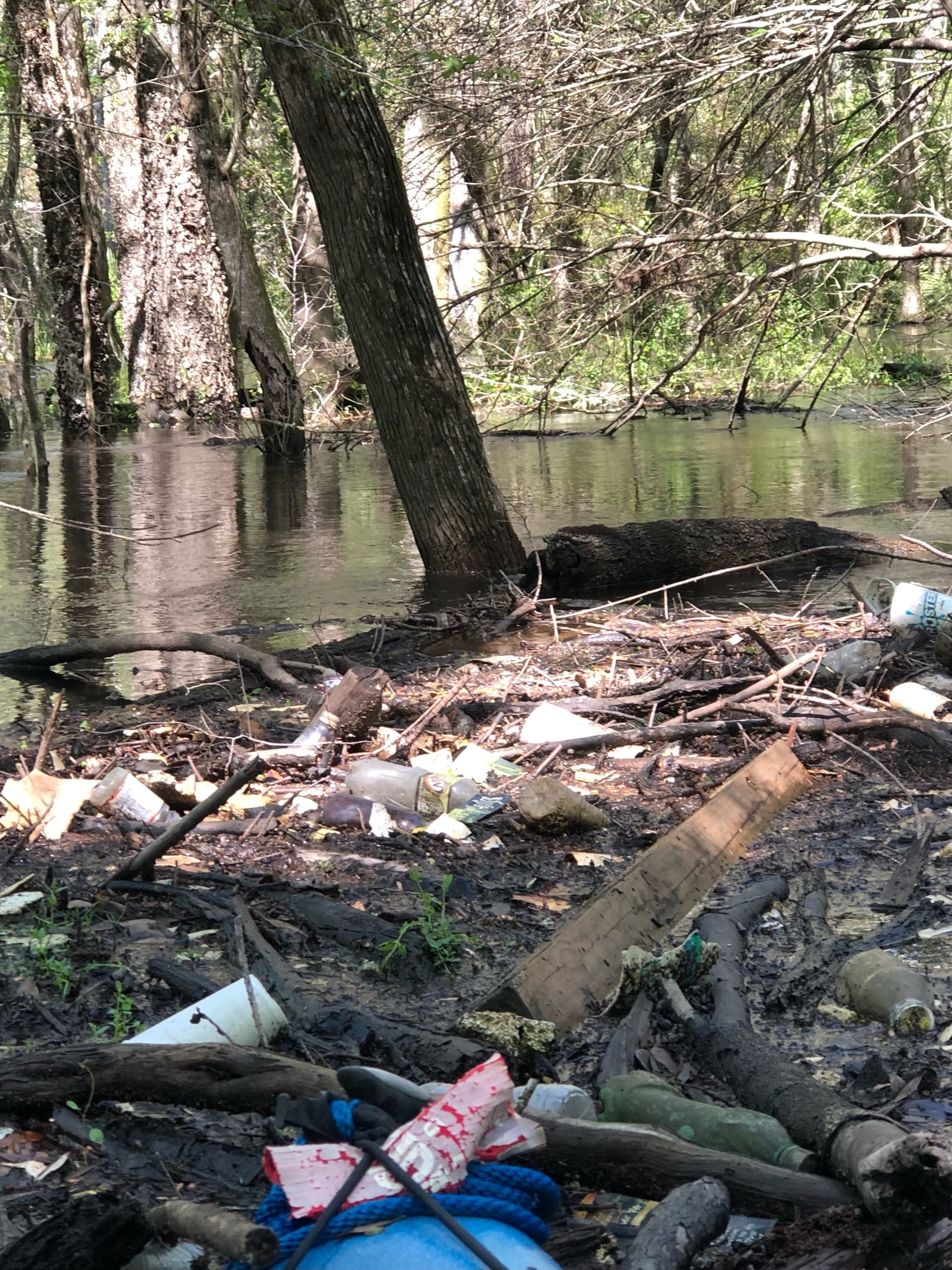 Styrofoam and plastic