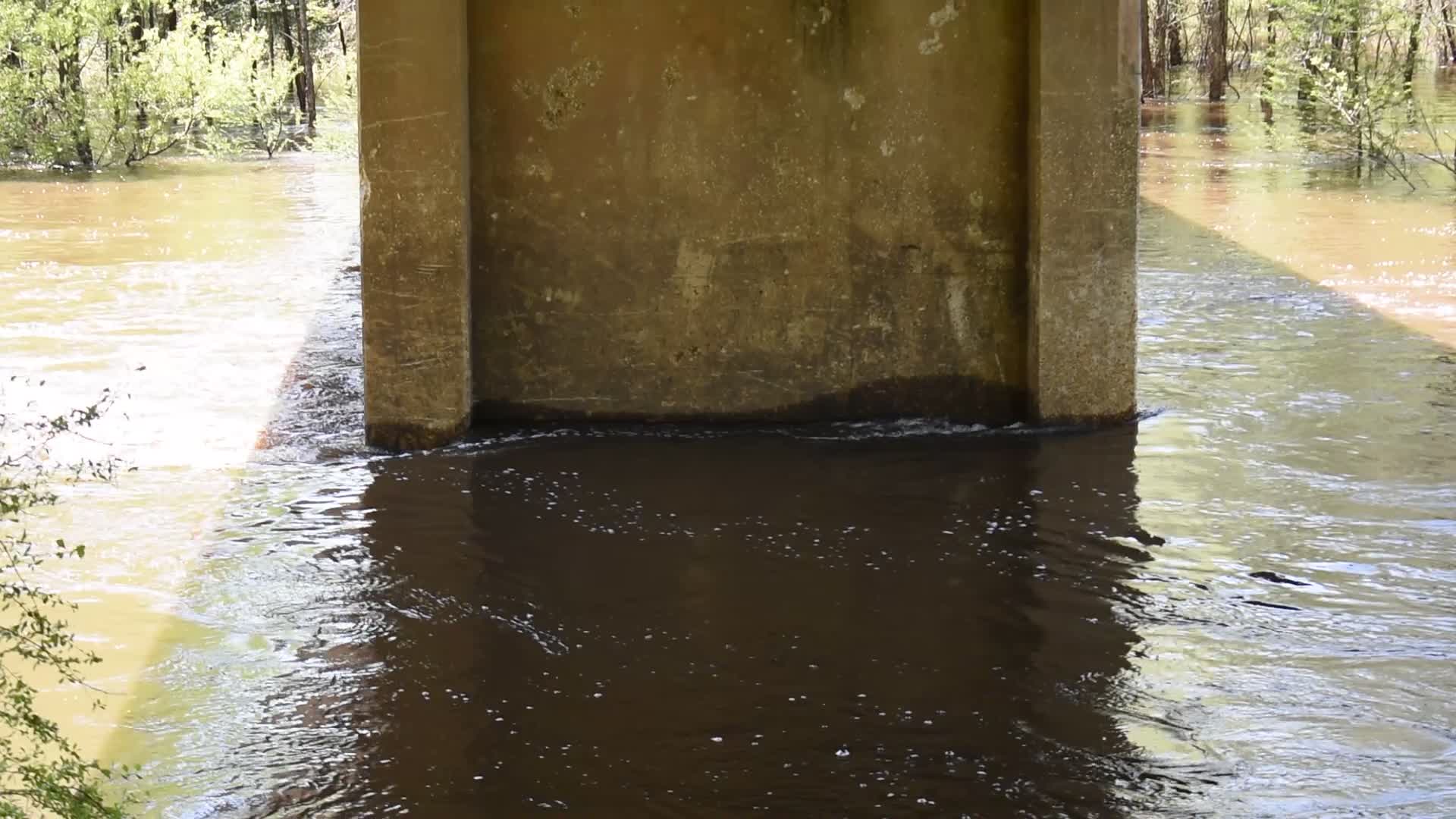 Movie: Flow and Water Level, Nankin Boat Ramp 2022-04-07