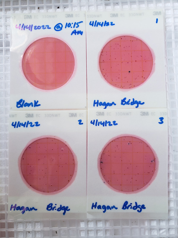 Plates, Hagan Bridge Landing 2022-04-14