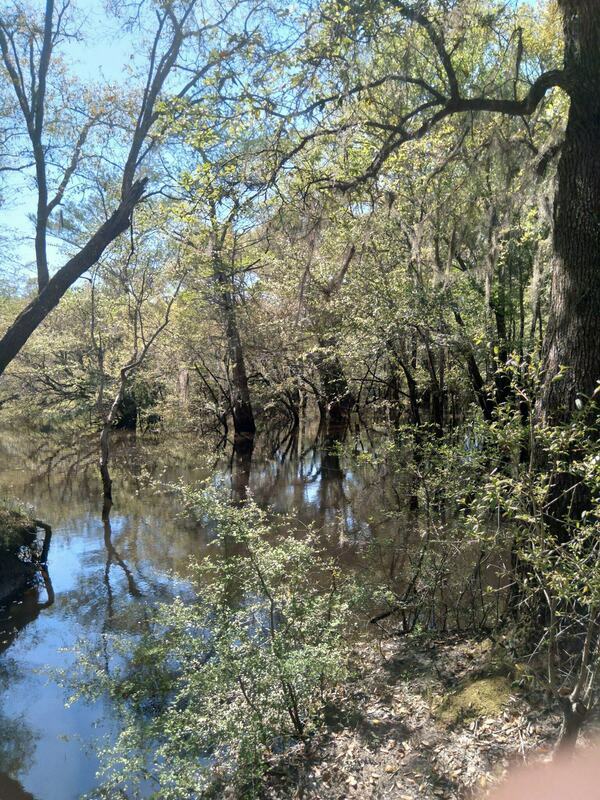 [Knights Ferry Boat Ramp flooded, Withlacoochee River 2022-04-15]