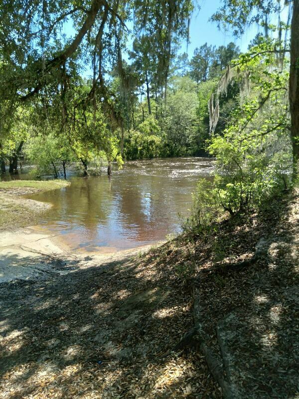 Nankin Boat Ramp Downstream, Withlacoochee River @ Clyattville-Nankin Road 2022-04-15