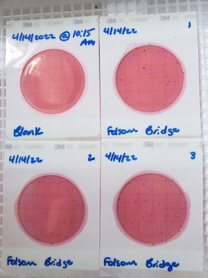 [Plates, Folsom Bridge Landing 2022-04-14]