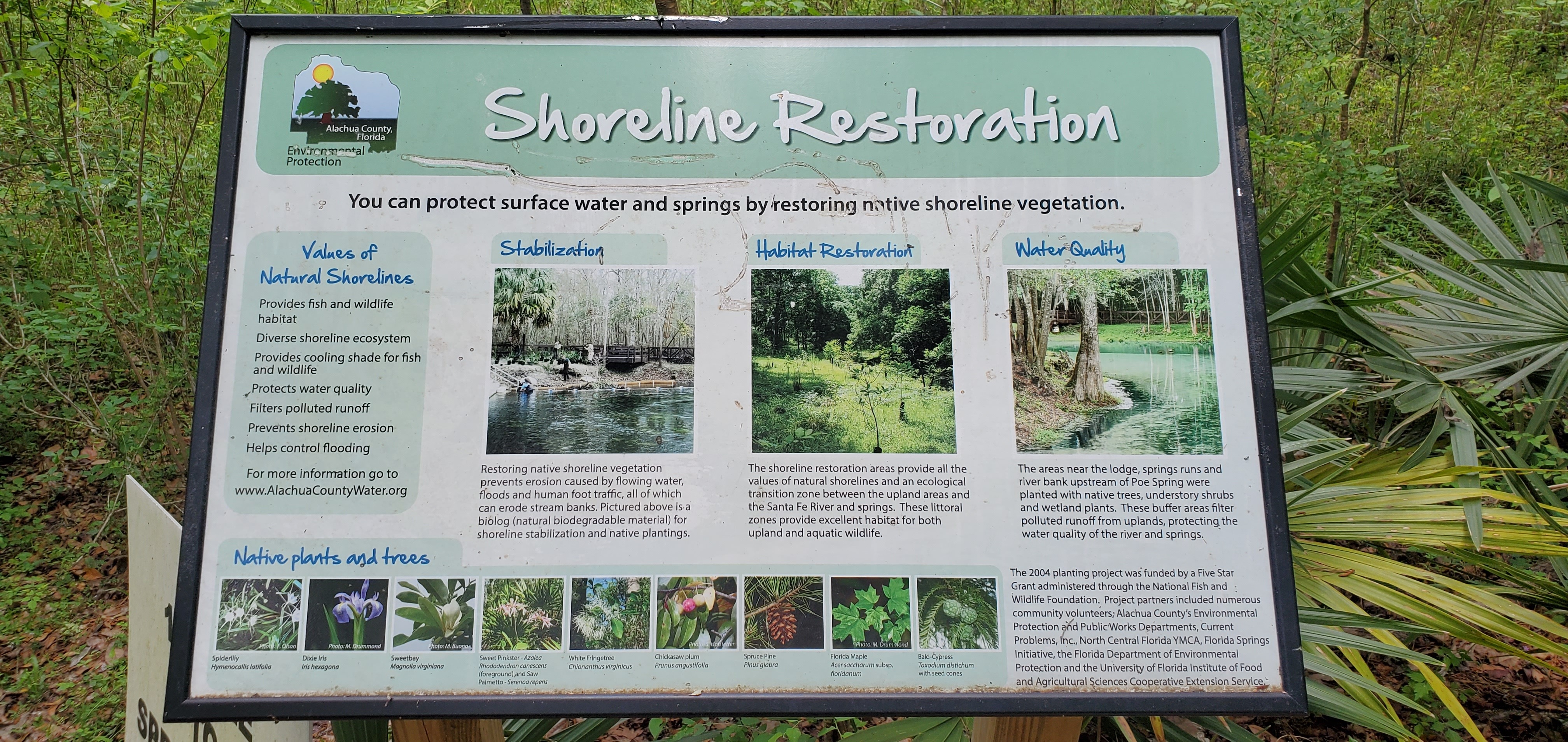 Shoreline Restoration