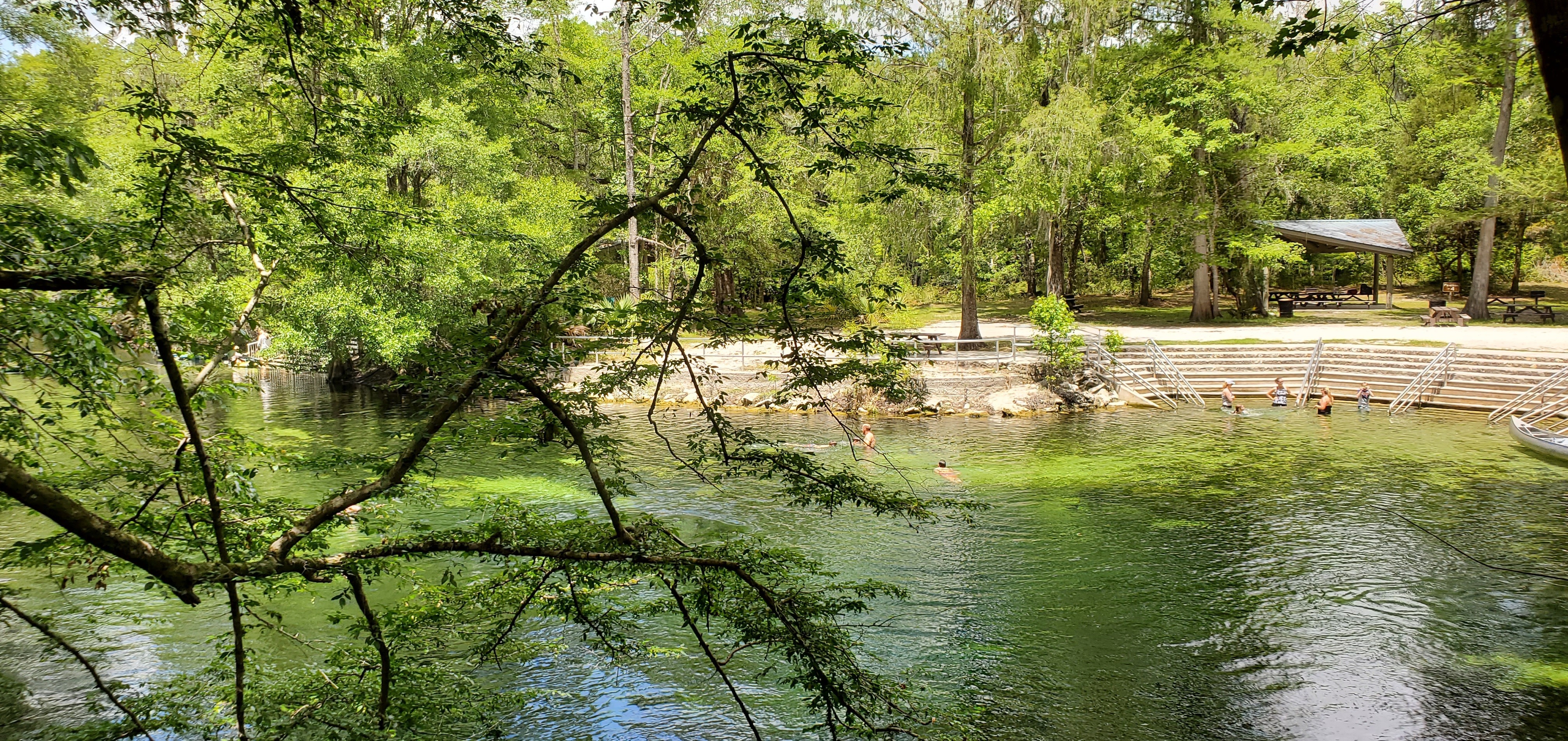 People in the water