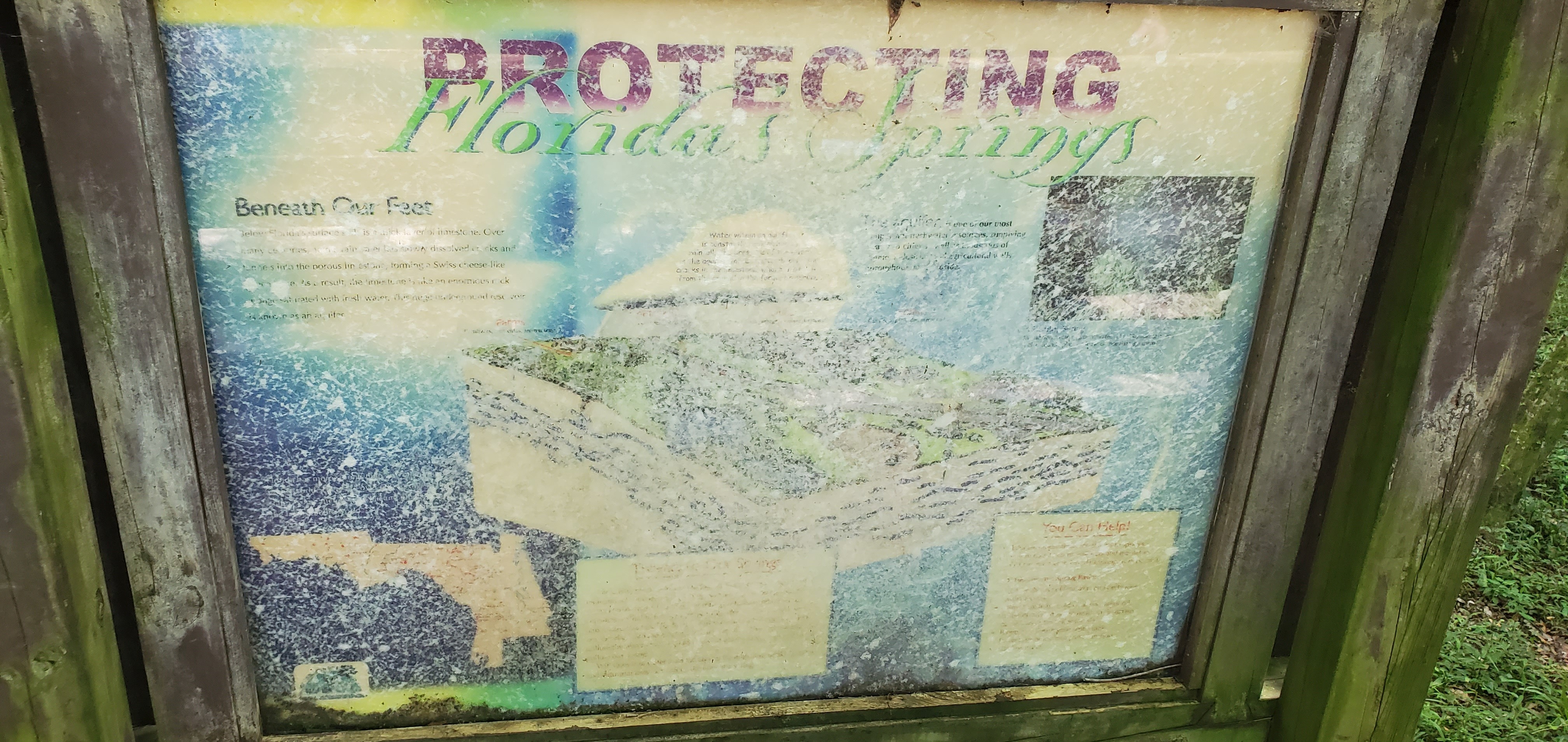 Protecting Florida's Springs