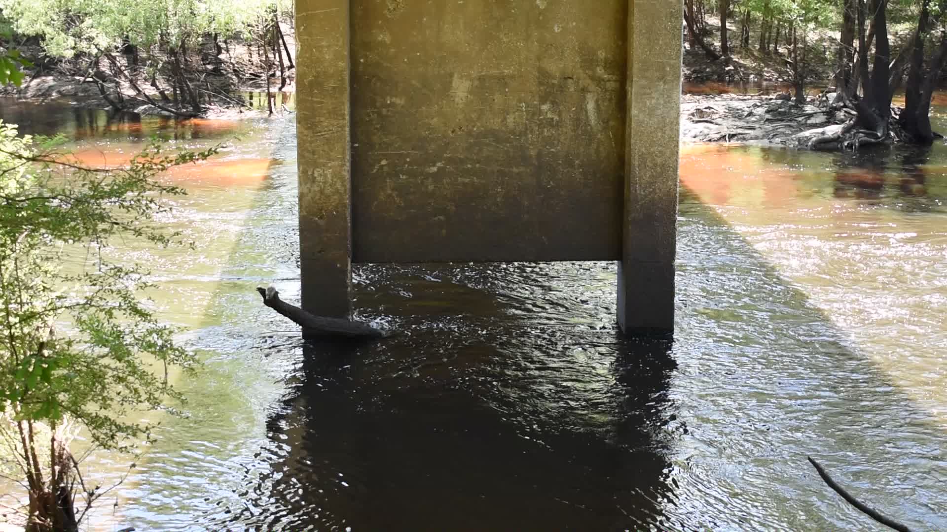 Movie: Nankin Water Flow and Level, Withlacoochee River @ Clyattville-Nankin Road 2022-04-28